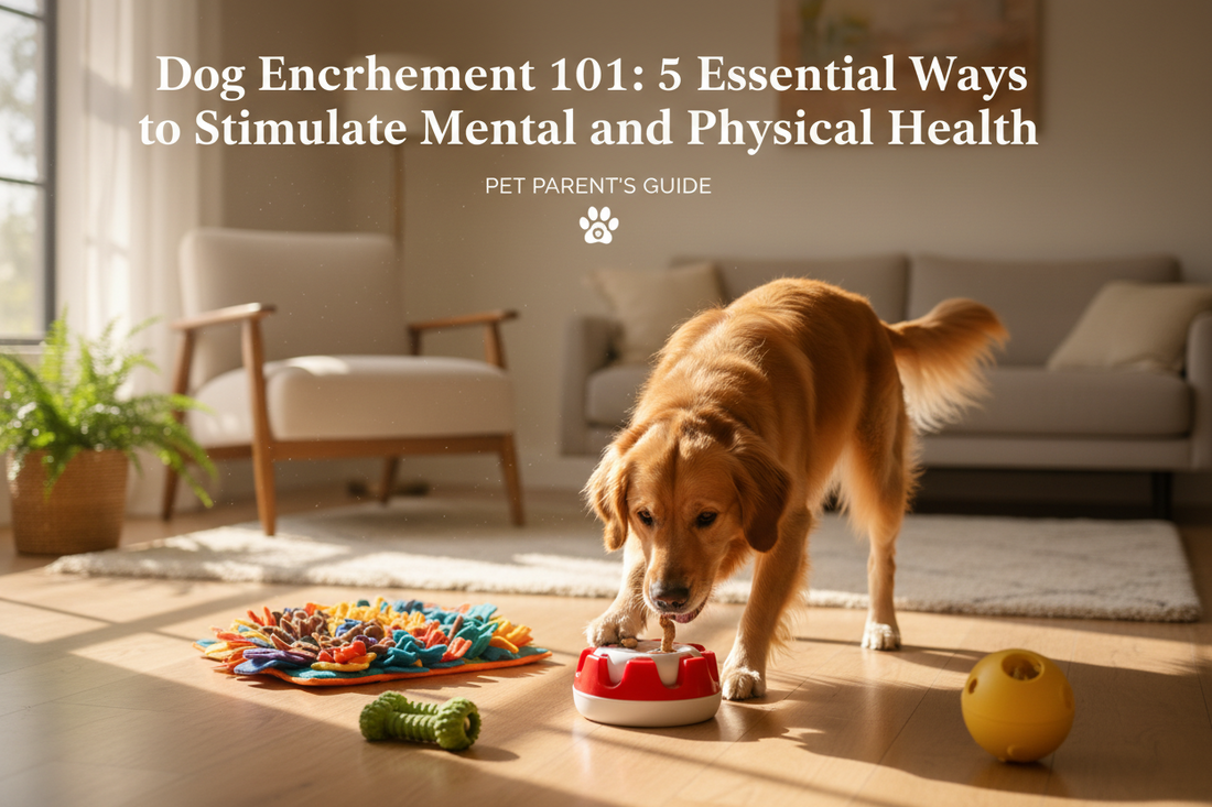 Dog Enrichment 101: 5 Essential Ways to Stimulate Mental and Physical Health