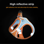 Small Dog/Cat Harness