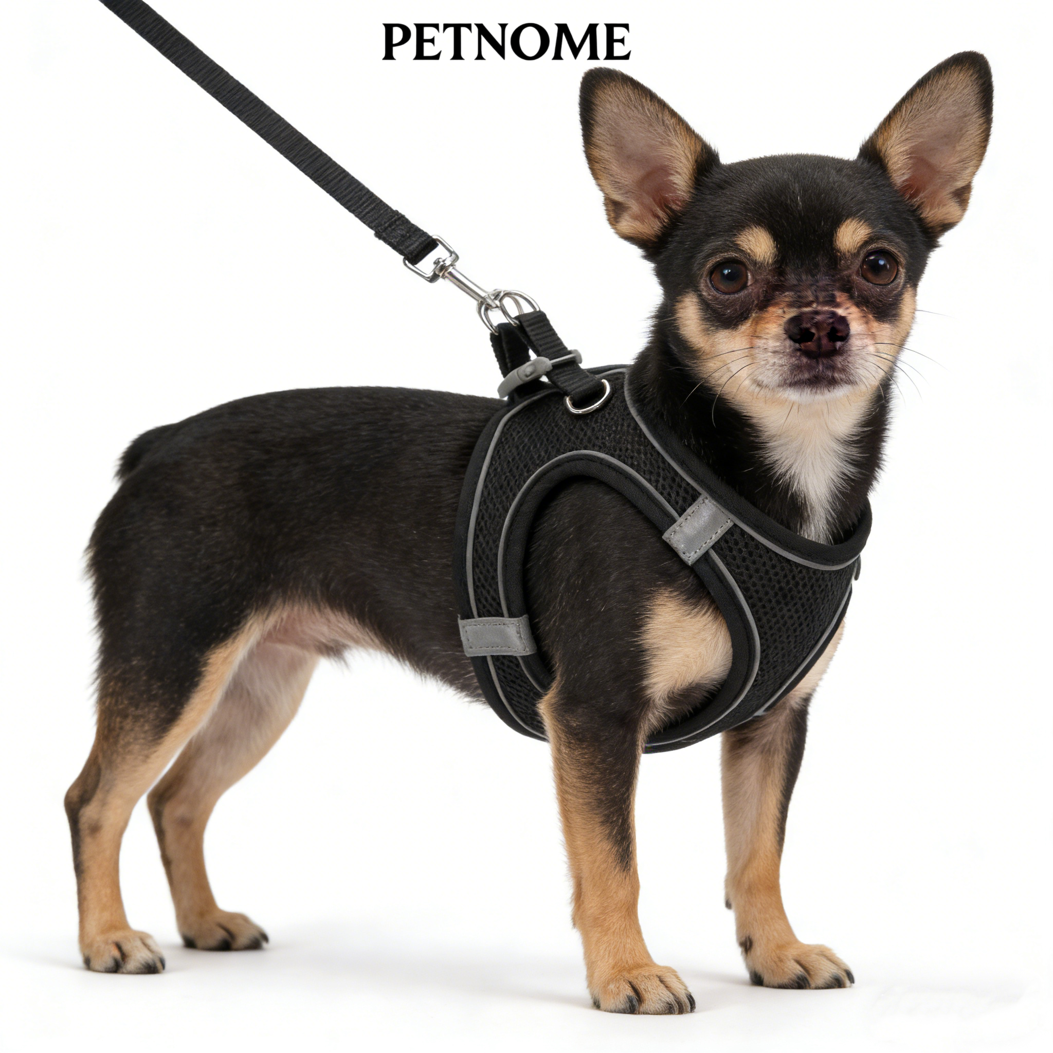 Small Dog/Cat Harness
