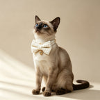 Pet Collar with Chic Bow Pearl White