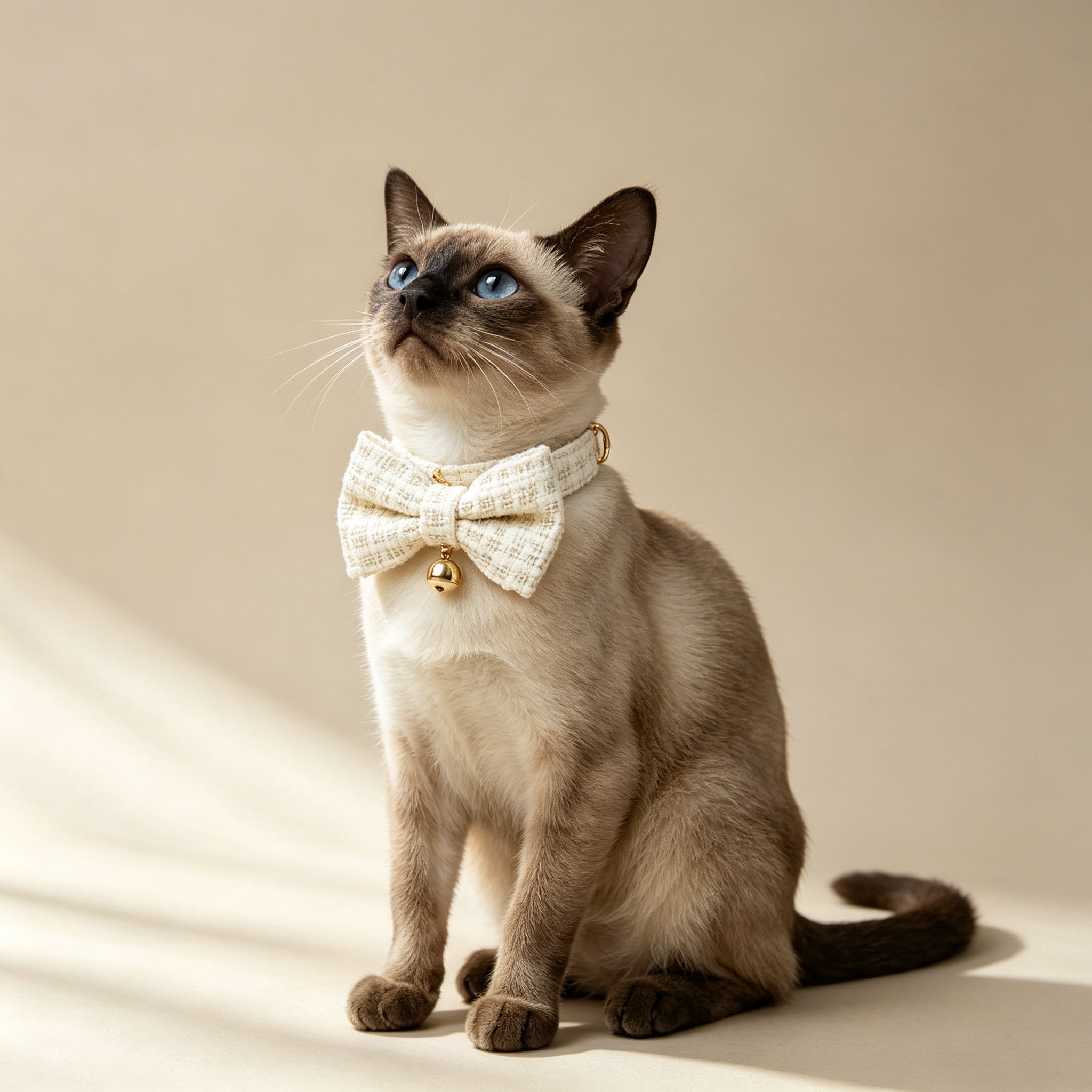 Pet Collar with Chic Bow Pearl White