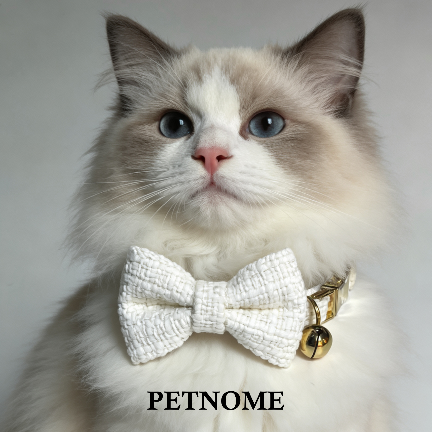 Cat Collar with Chic Bow