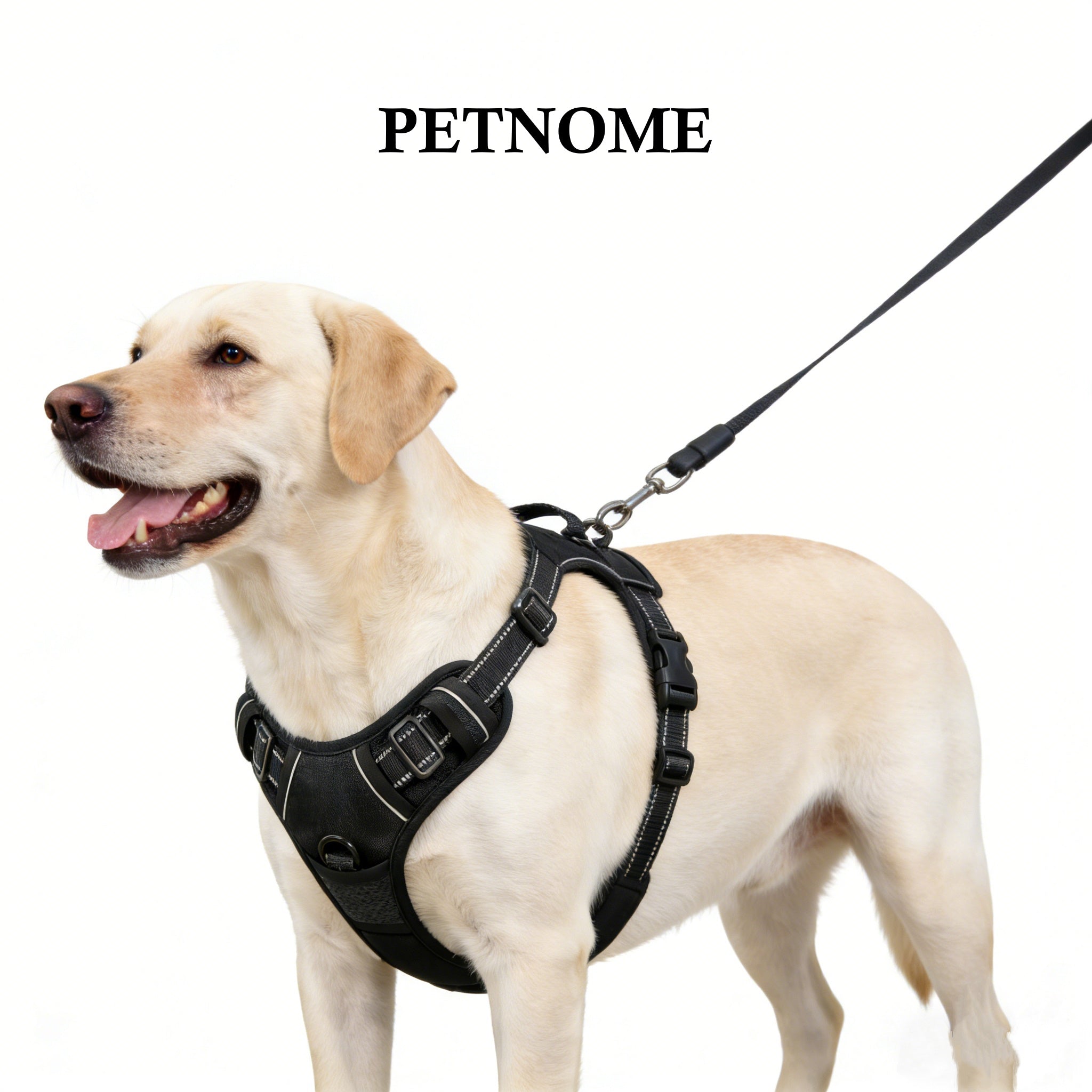 Petnome Dog Harness No Pull Monster 1