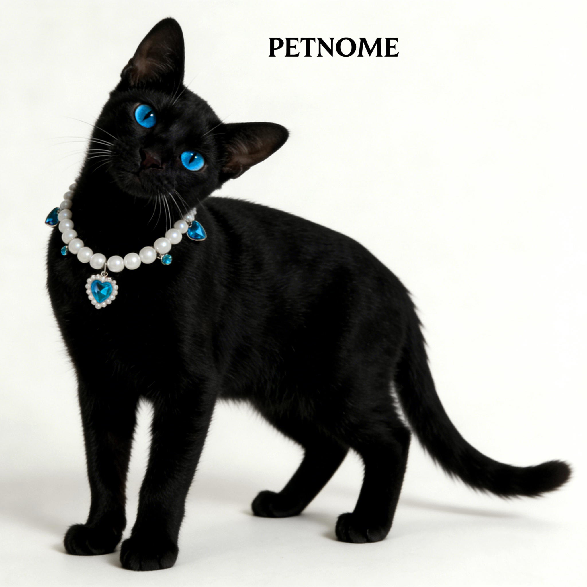 Pet Pearl Necklace Collar
