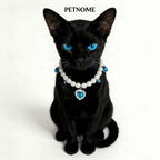 Pet Pearl Necklace Collar