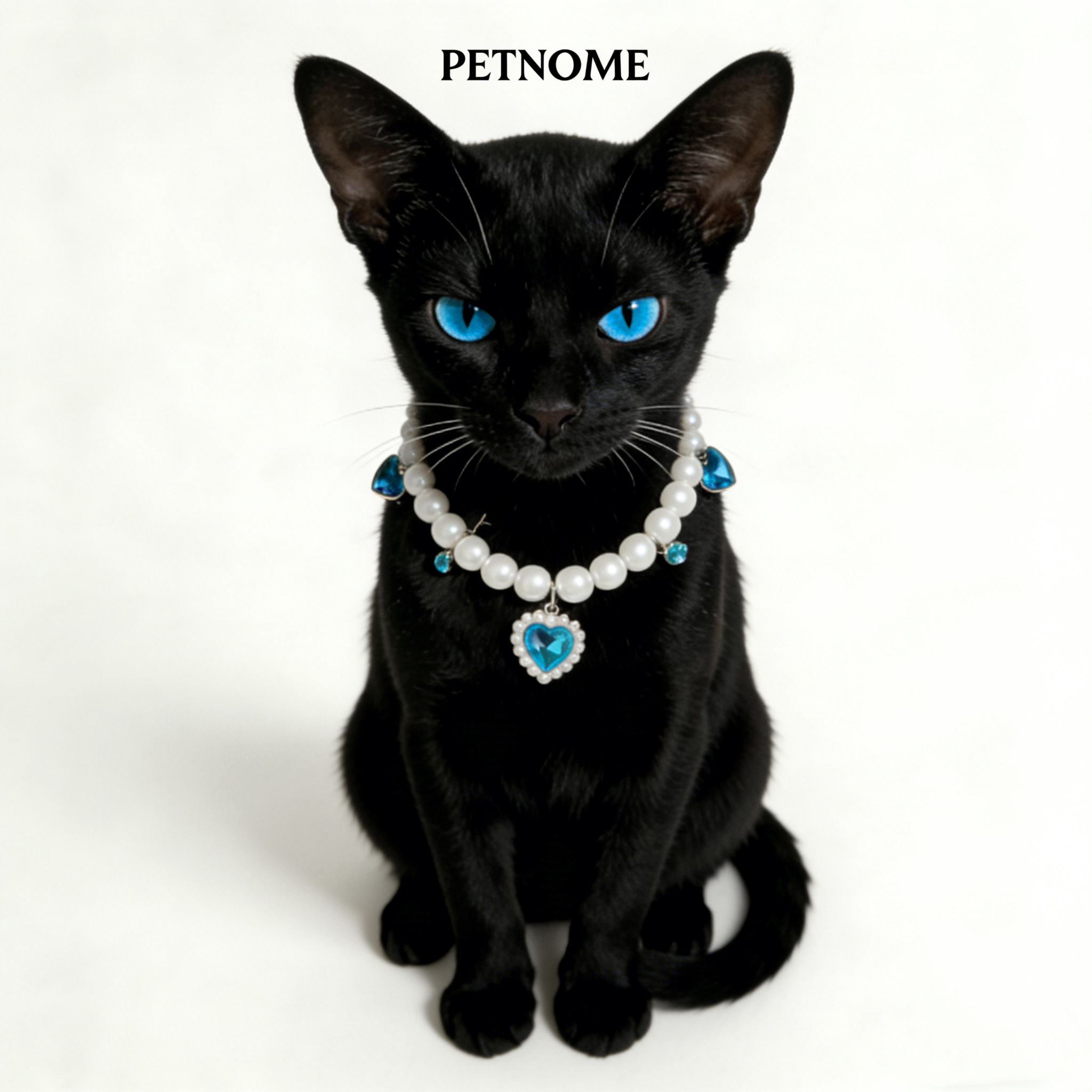 Pet Pearl Necklace Collar