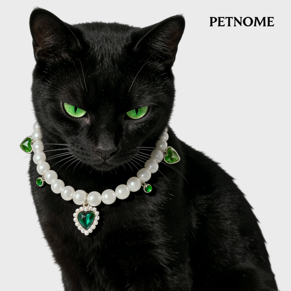 Pet Pearl Necklace Collar
