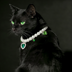 Pet Pearl Necklace Collar