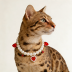 Pet Pearl Necklace Collar