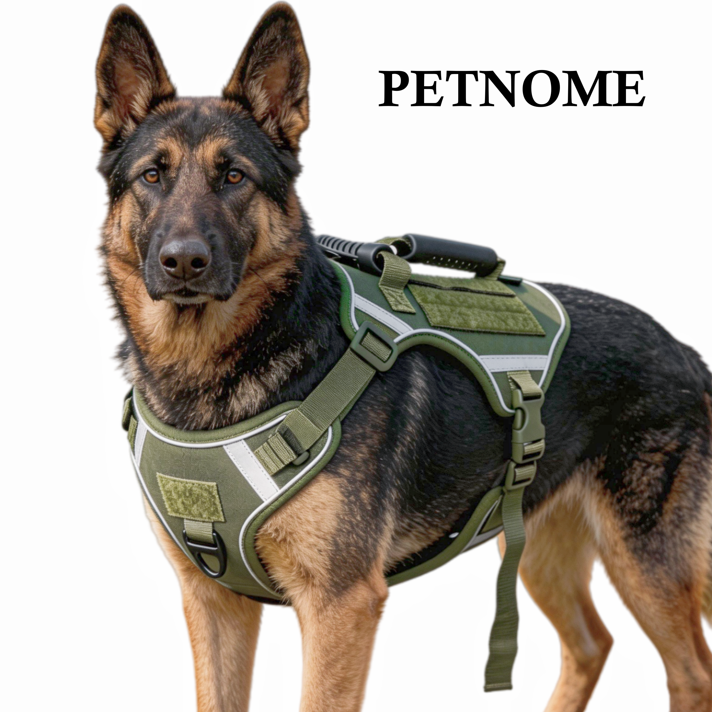 PETNOME Dog Tactical Harness  Monster 1