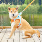 Small Dog/Cat Harness