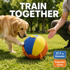 Heavy Duty Inflatable Dog Ball Cover for Large Dogs | Giant Durable Training Ball for Malinois & Herding Breeds