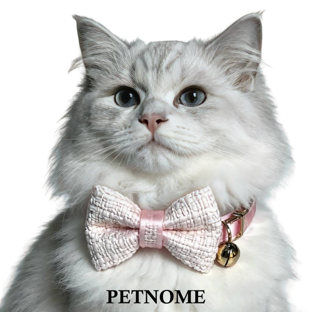 Cat Collar with Chic Bow