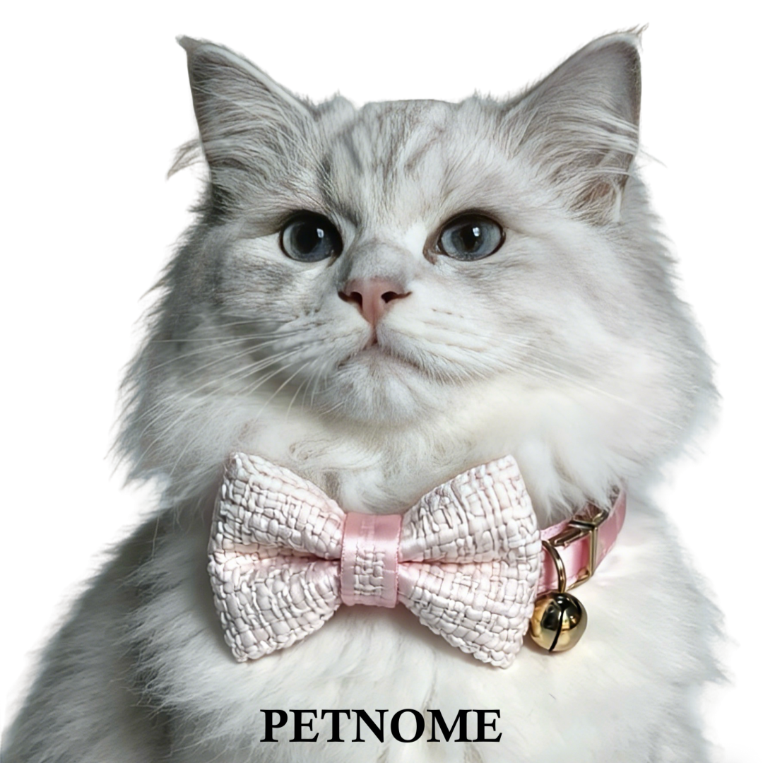 Cat Collar with Chic Bow