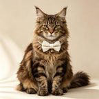 Pet Collar with Chic Bow Pearl White