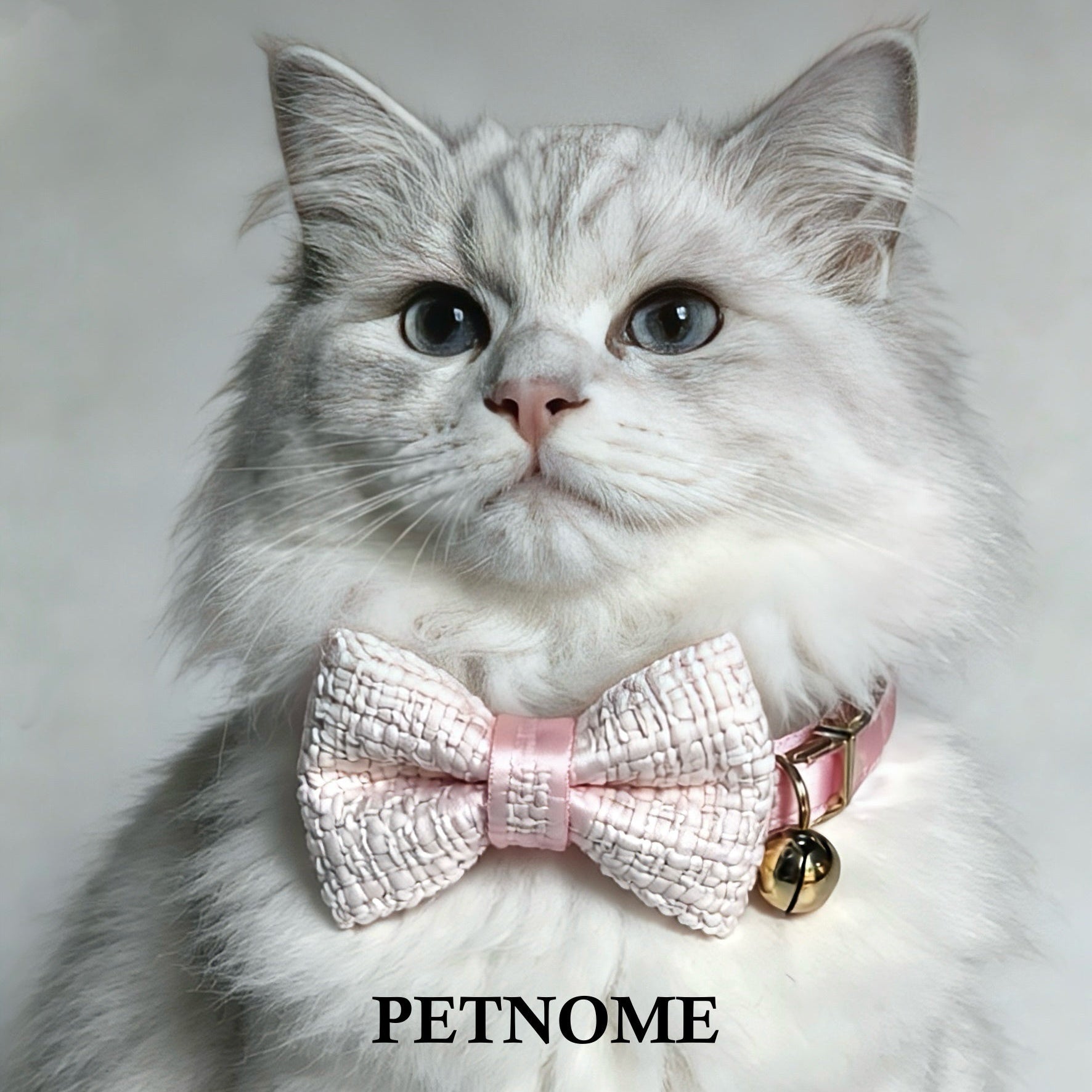 Cat Collar with Chic Bow