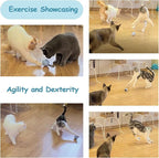 Interactive Cat Ball Robet