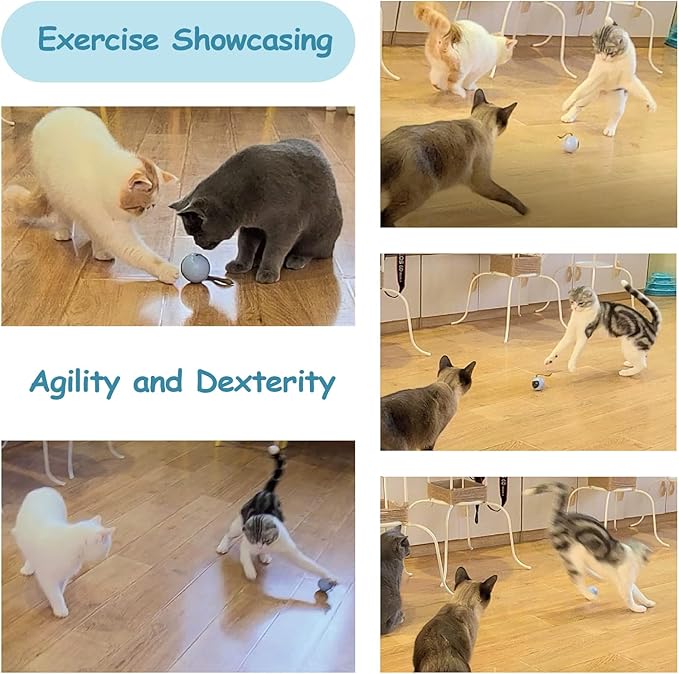 Interactive Cat Ball Robet