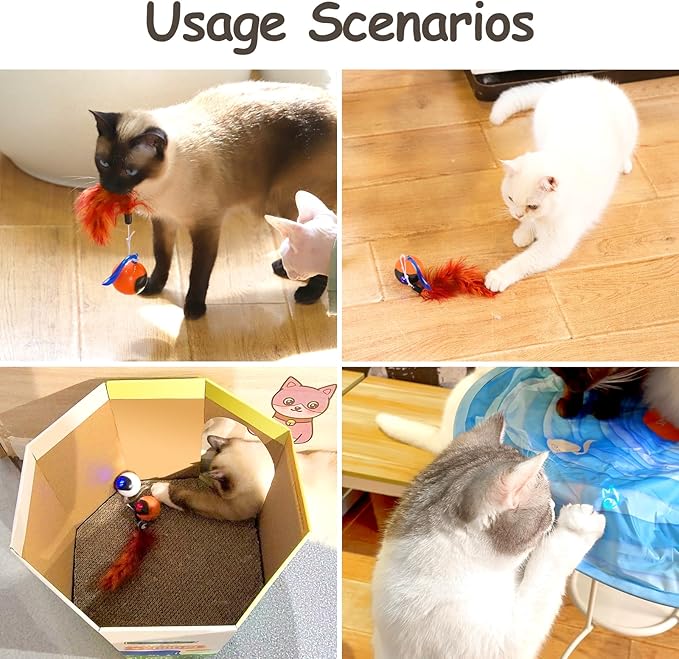 Interactive Cat Ball Robet