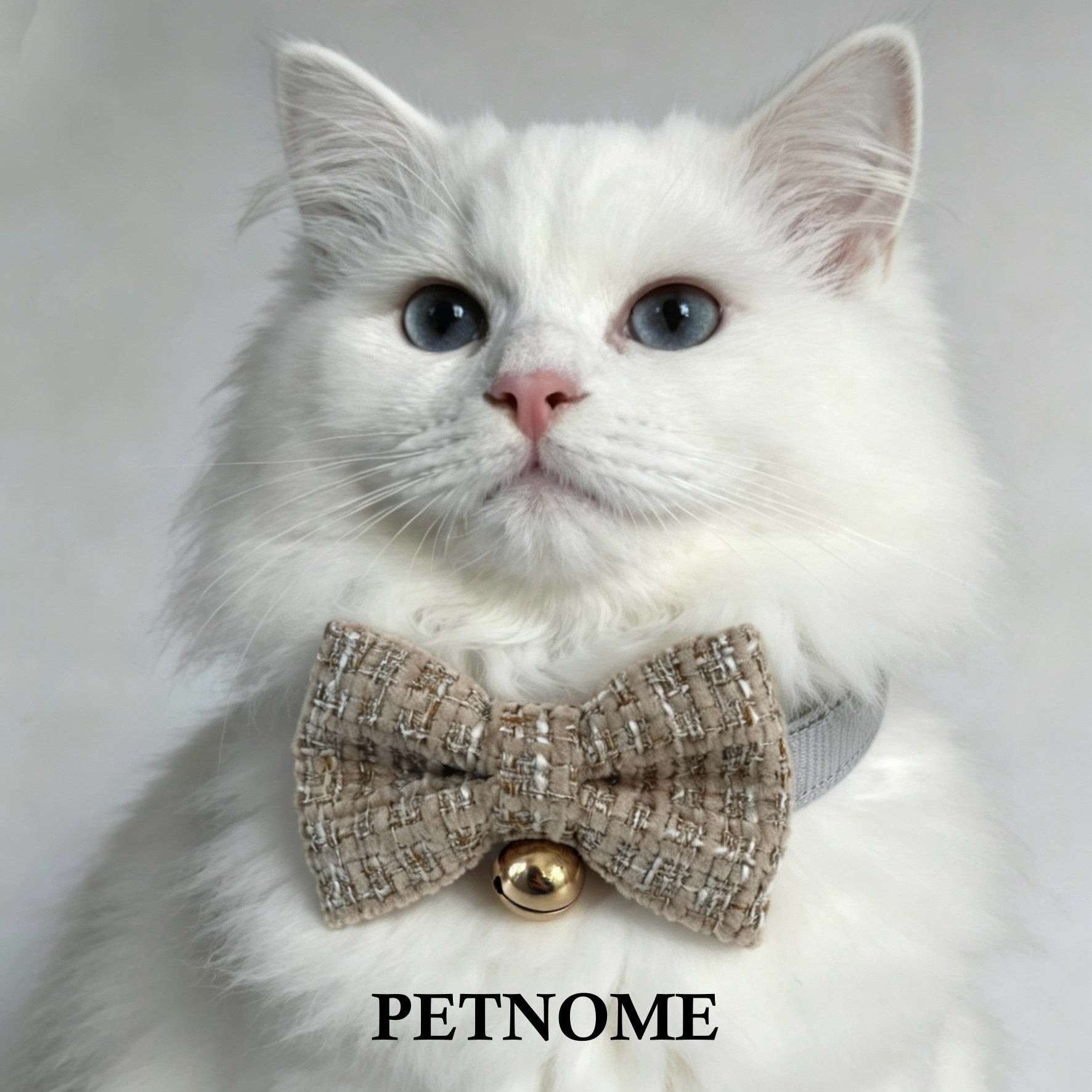 Cat Collar with Chic Bow