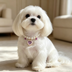 Pet Pearl Necklace Collar Amethyst